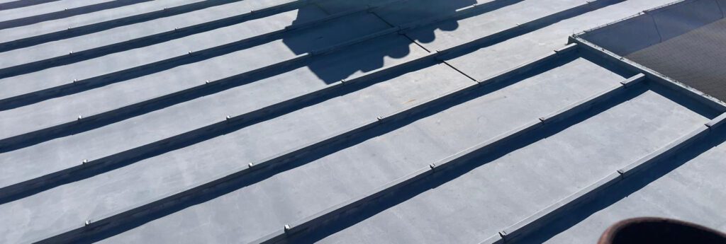 zinc Orléans brohan couverture